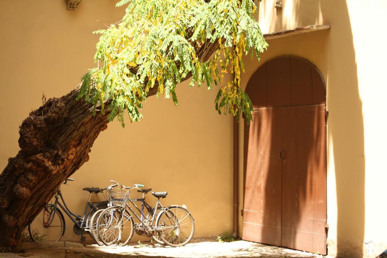 Acacia Firenze - Primula Apartman Szoba fotó